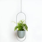 Hanging Plant Pot Holder with Iron Frame