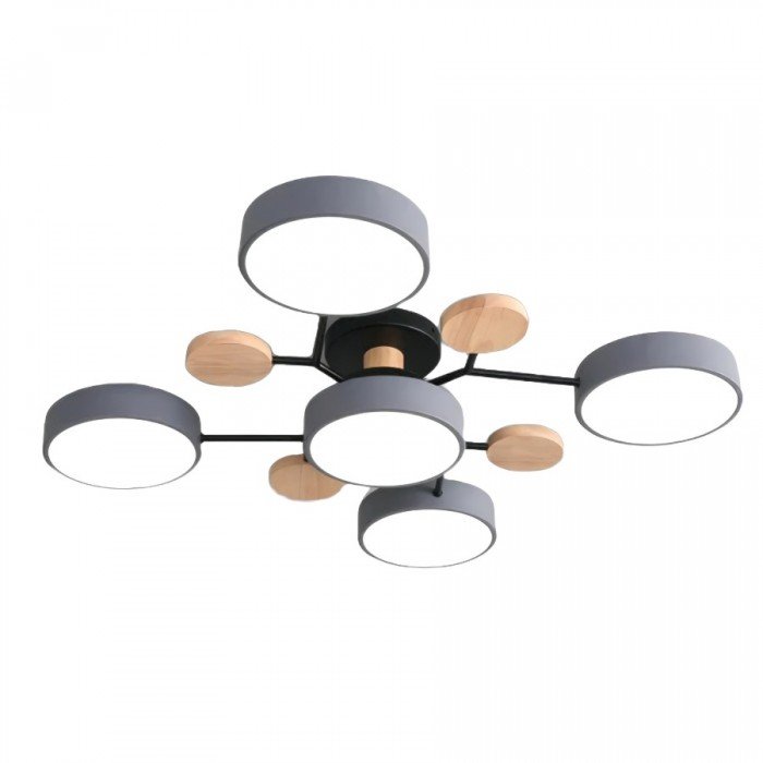 Ceiling Light with Branched Arms