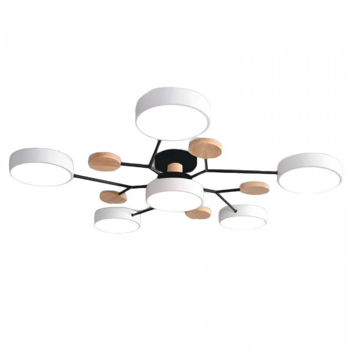 Ceiling Light with Branched Arms