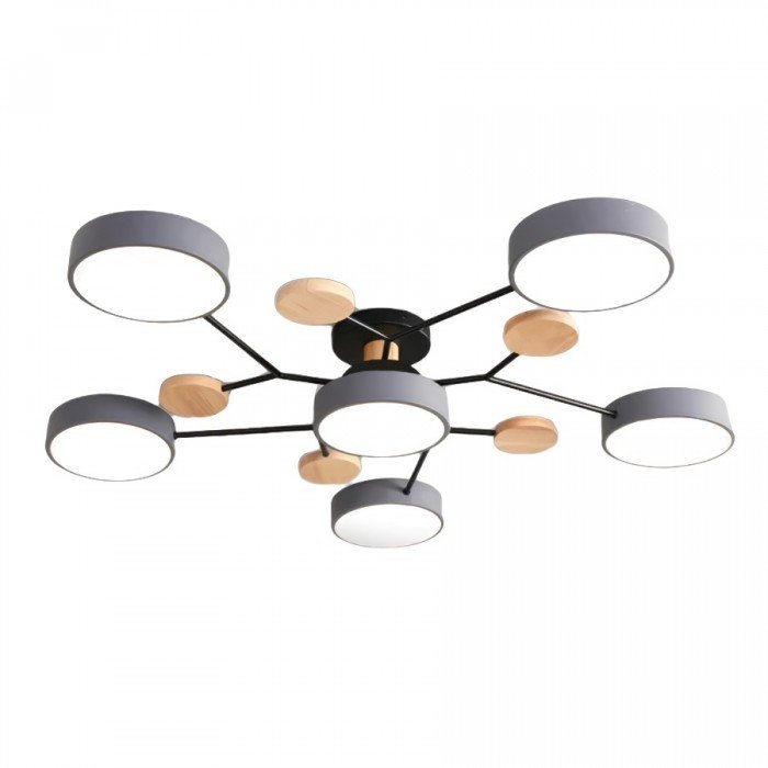 Ceiling Light with Branched Arms