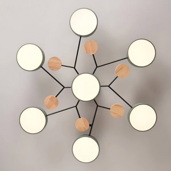 Ceiling Light with Branched Arms