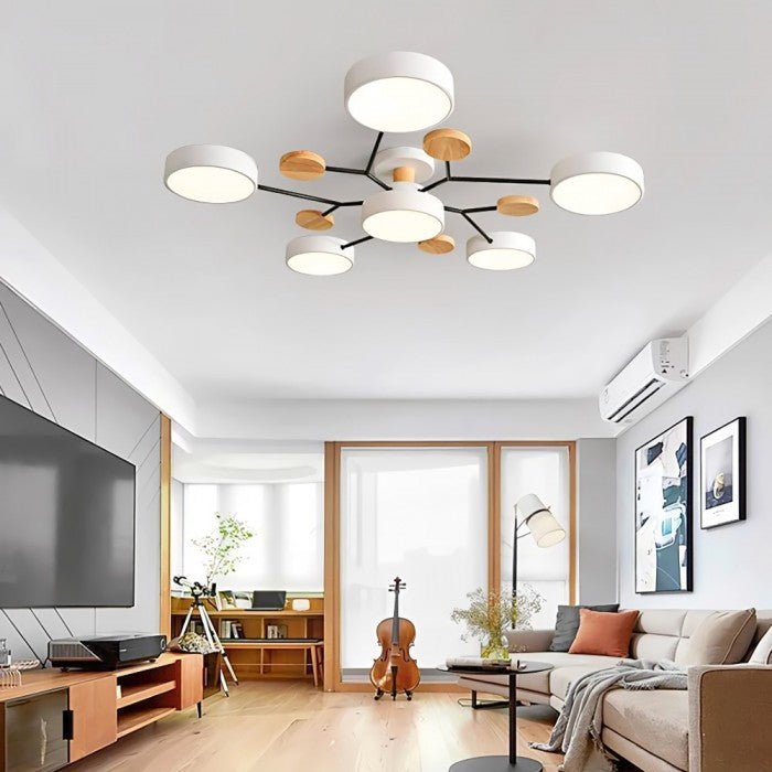 Ceiling Light with Branched Arms