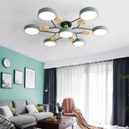 Ceiling Light with Branched Arms