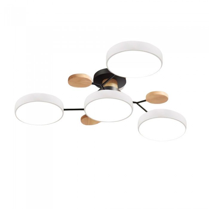 Ceiling Light with Branched Arms