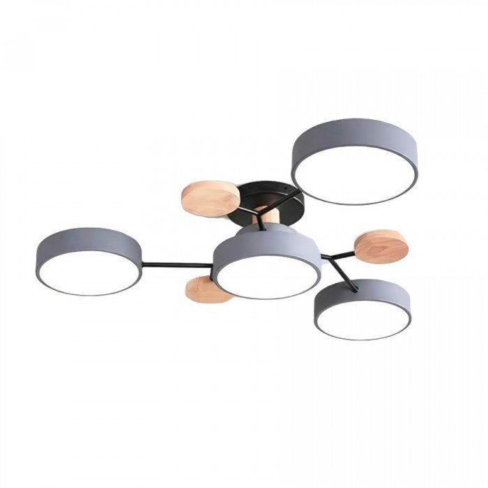 Ceiling Light with Branched Arms