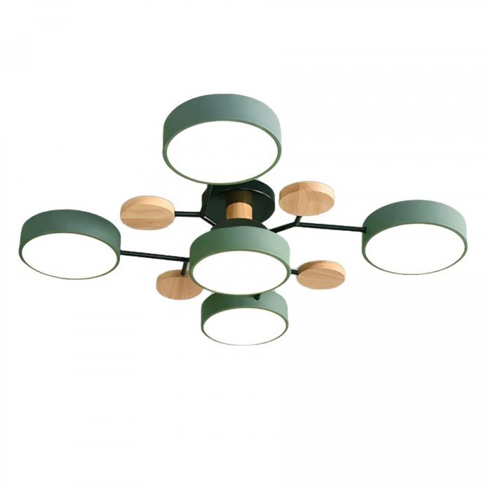 Ceiling Light with Branched Arms