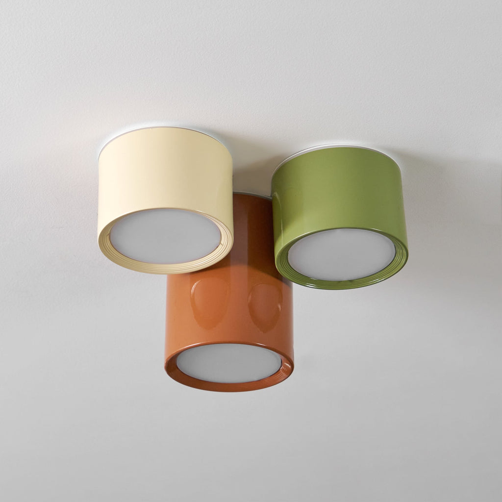Ceiling Light with Multiple Light Heads