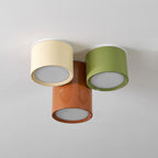 Ceiling Light with Multiple Light Heads