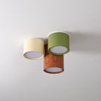 Ceiling Light with Multiple Light Heads