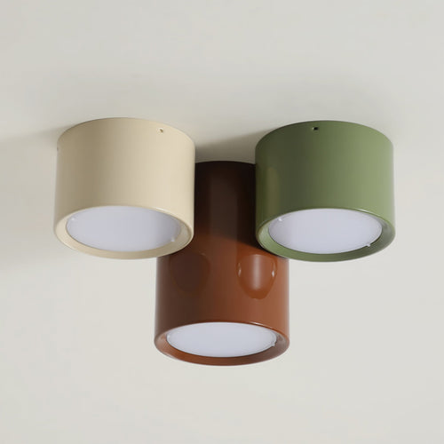 Ceiling Light with Multiple Light Heads
