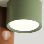 Ceiling Light with Multiple Light Heads