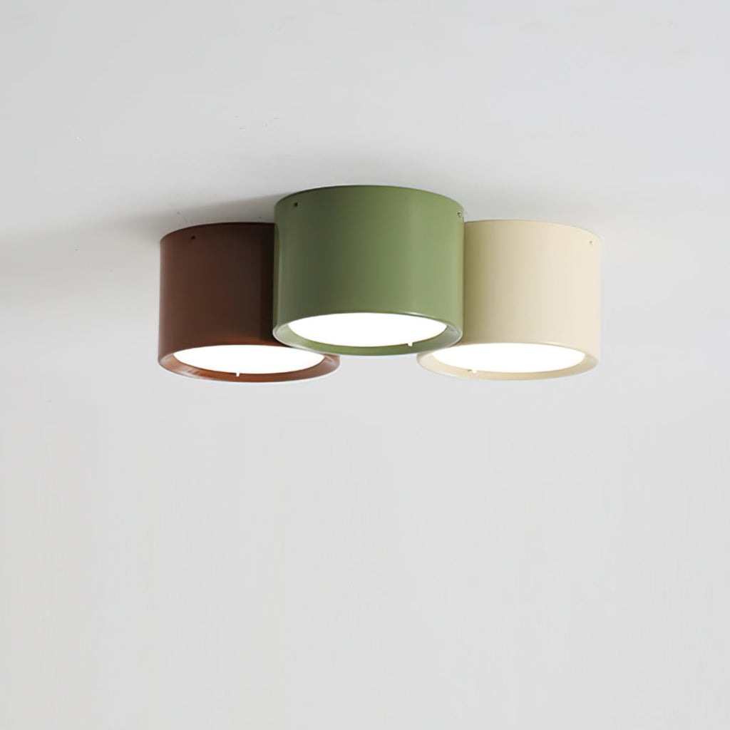 Ceiling Light with Multiple Light Heads