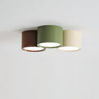Ceiling Light with Multiple Light Heads
