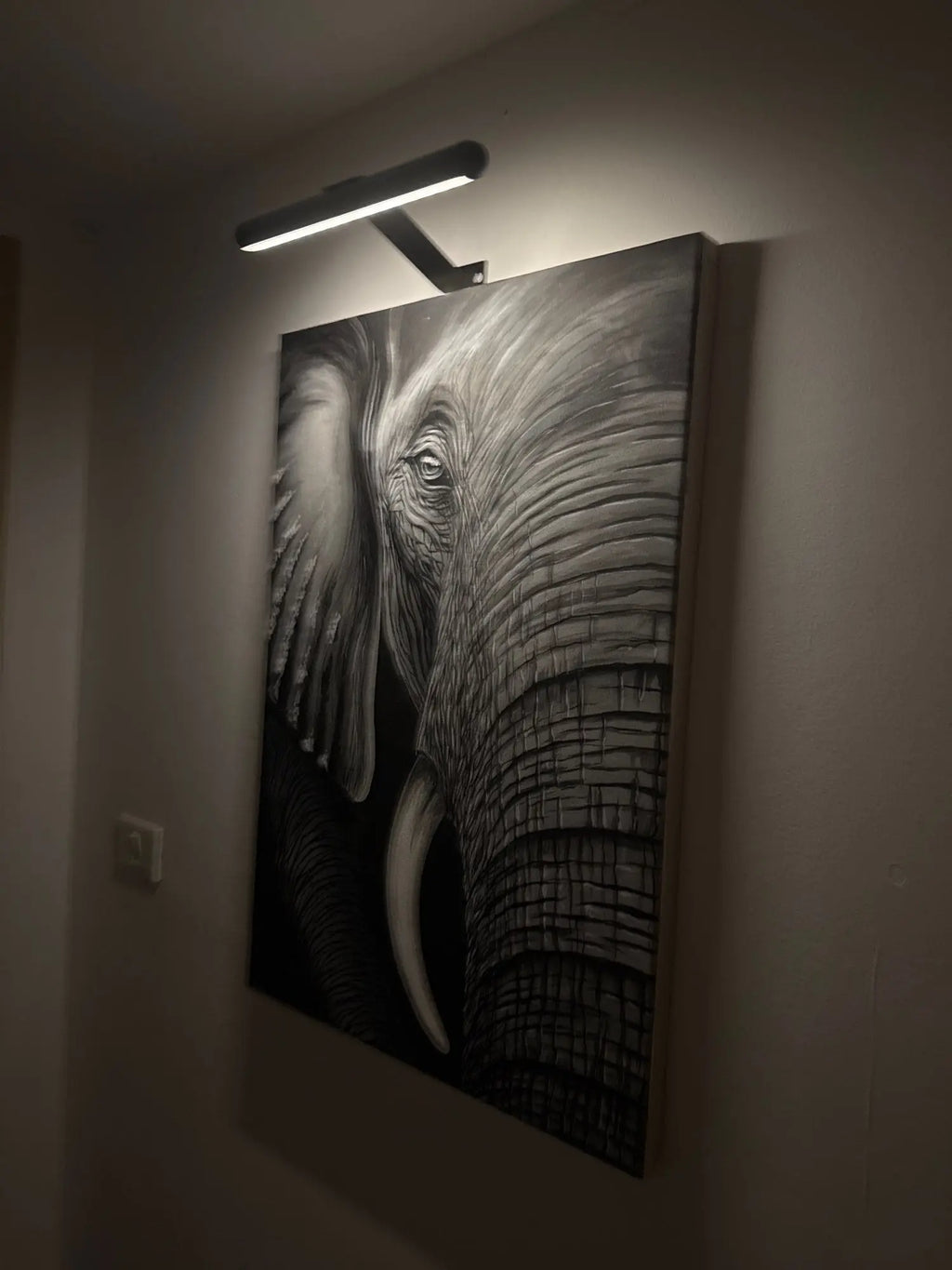 Clip-Mount LED Picture Light