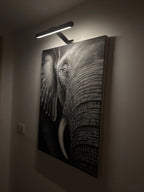 Clip-Mount LED Picture Light