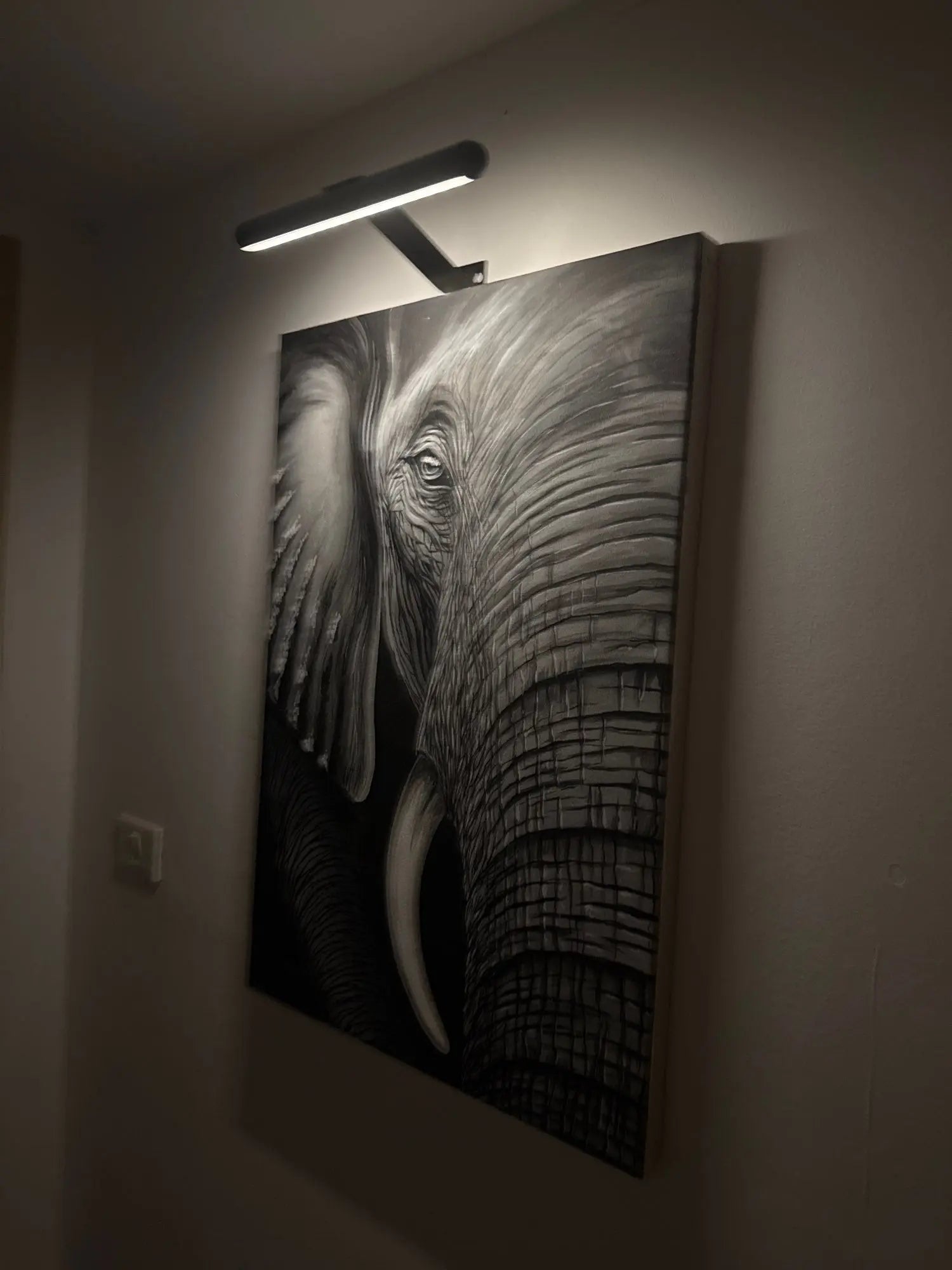 Clip-Mount LED Picture Light
