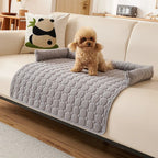 Dog Blanket | Plush & Non-Slip | 75 x 75 cm