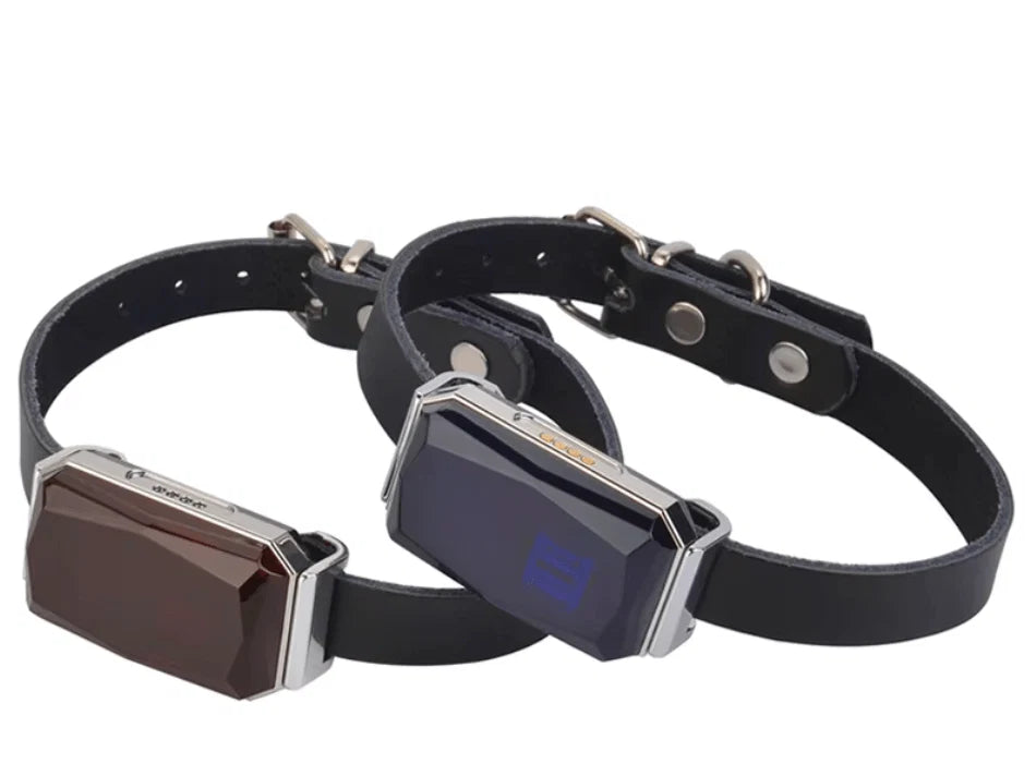 GPS Tracker with Mobile App
