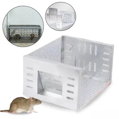 Live Mouse Trap with One-Way Door Mechanism