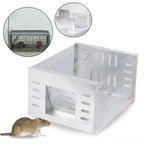 Live Mouse Trap with One-Way Door Mechanism