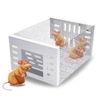 Live Mouse Trap with One-Way Door Mechanism