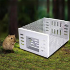 Live Mouse Trap with One-Way Door Mechanism