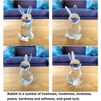 Paperweight | Crystal Frog Figurine & Desk Decor