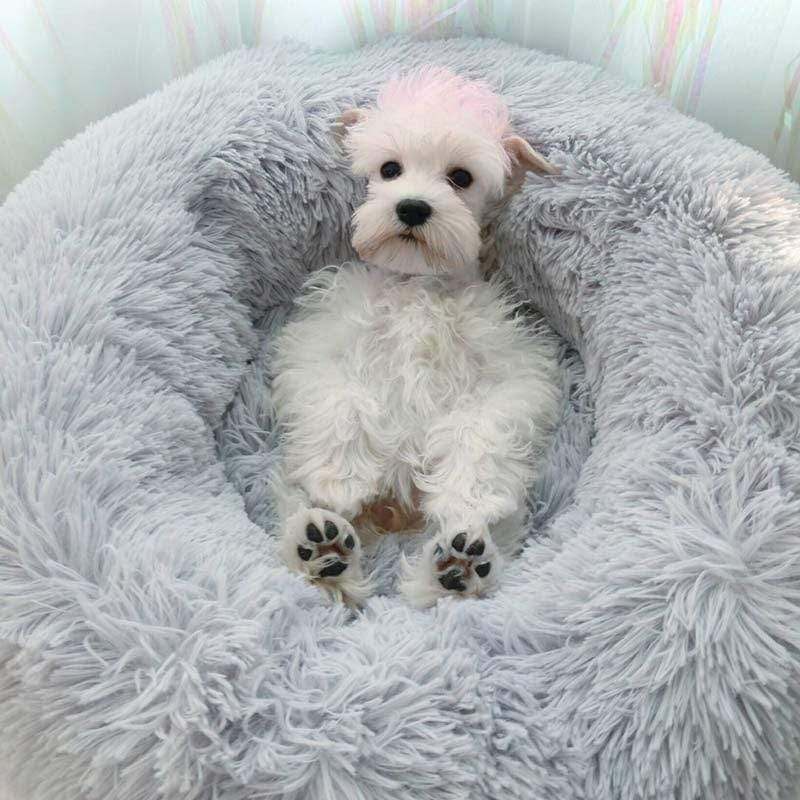Pet Bed | Soothing Faux Fur & Machine Washable | Various Sizes