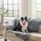 Pet Blanket | Sherpa Plush & Machine-Washable | M–XXL