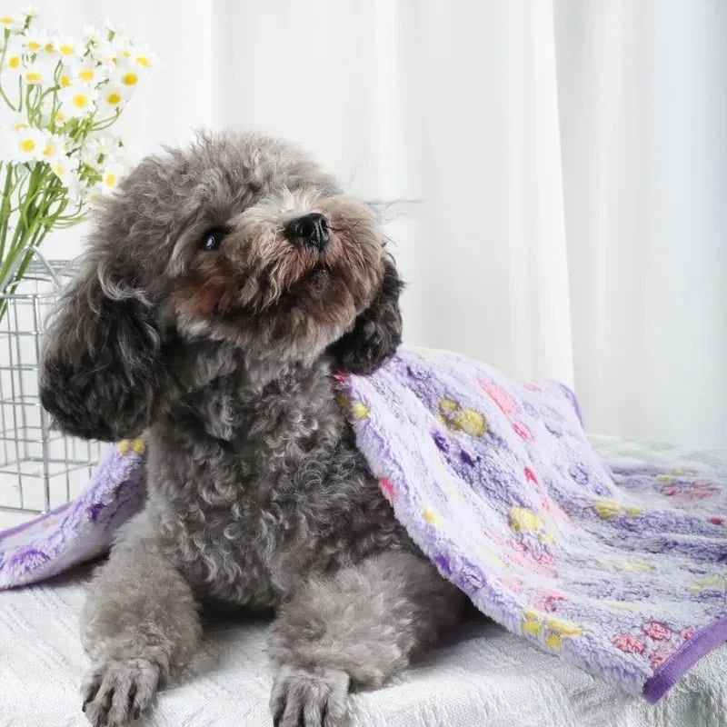 Pet Blanket | Soft Flannel & Paw Print | Machine Washable