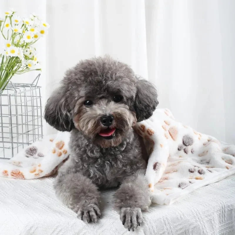 Pet Blanket | Soft Flannel & Paw Print | Machine Washable