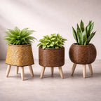 Plant Pot | Wooden Feet & Woven Look