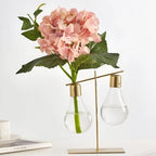 Propagation Vase | Glass & Metal Frame | Single Or Double