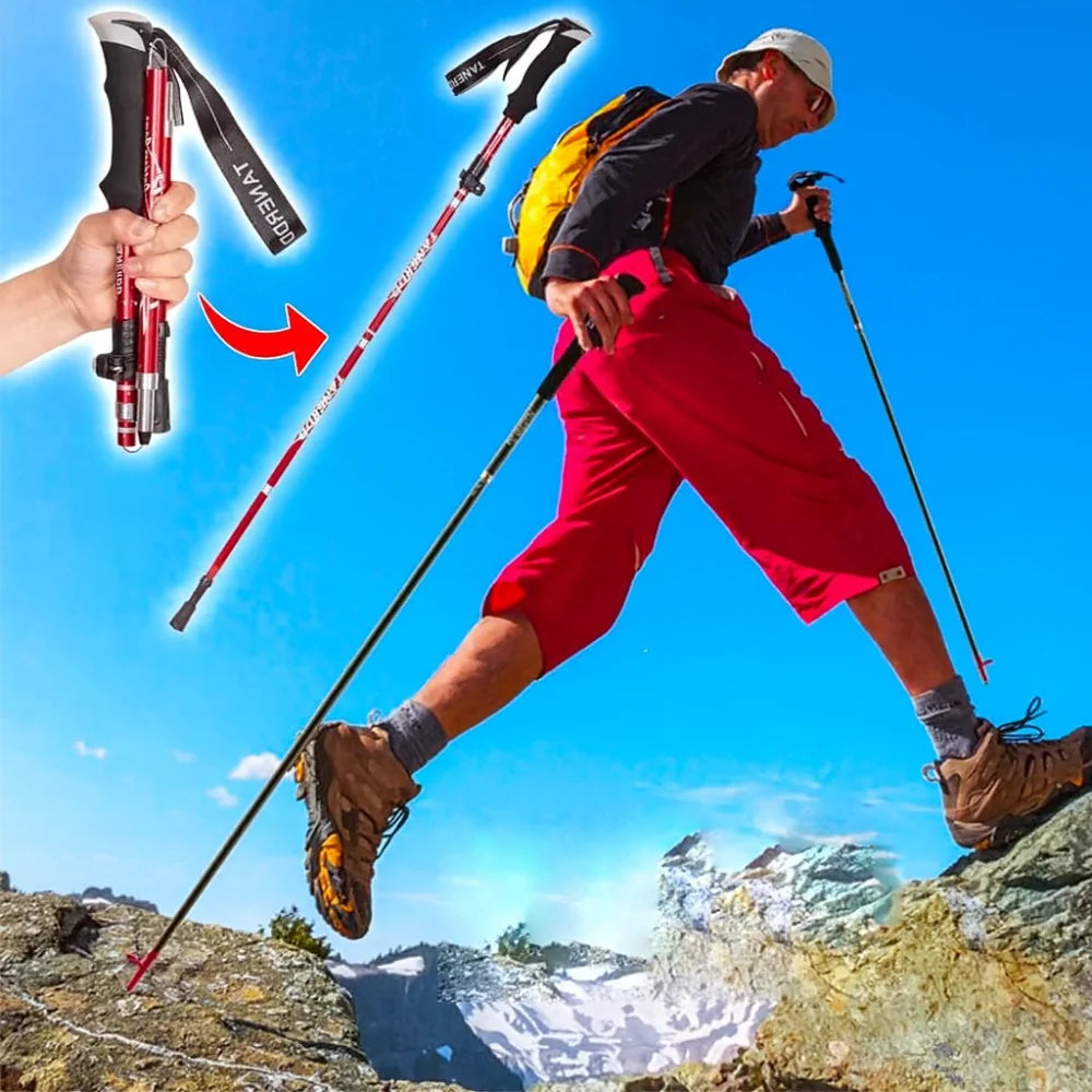 Trekking Pole | Foldable Telescopic 7075 Aluminum & EVA Grip | Two Sizes