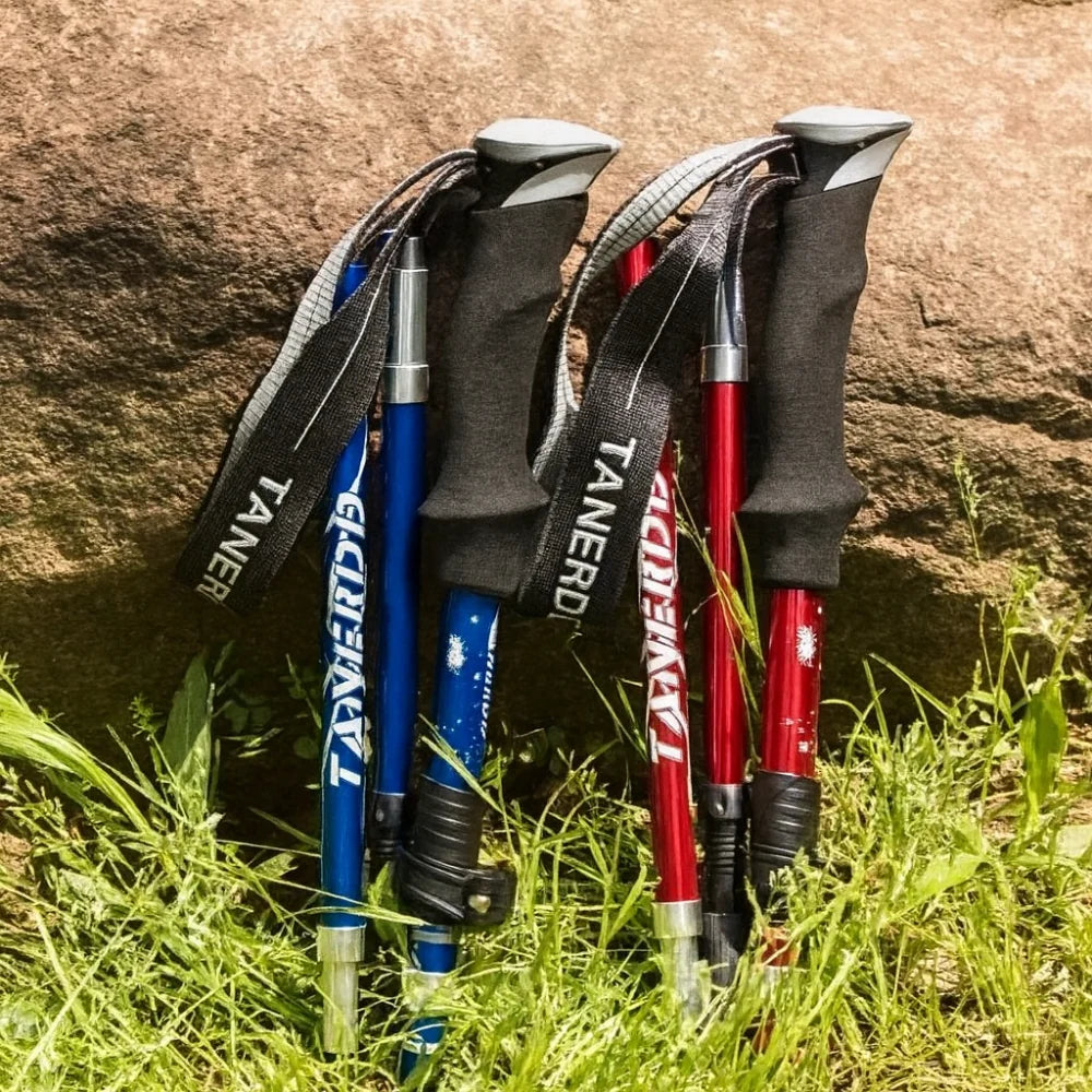 Trekking Pole | Foldable Telescopic 7075 Aluminum & EVA Grip | Two Sizes