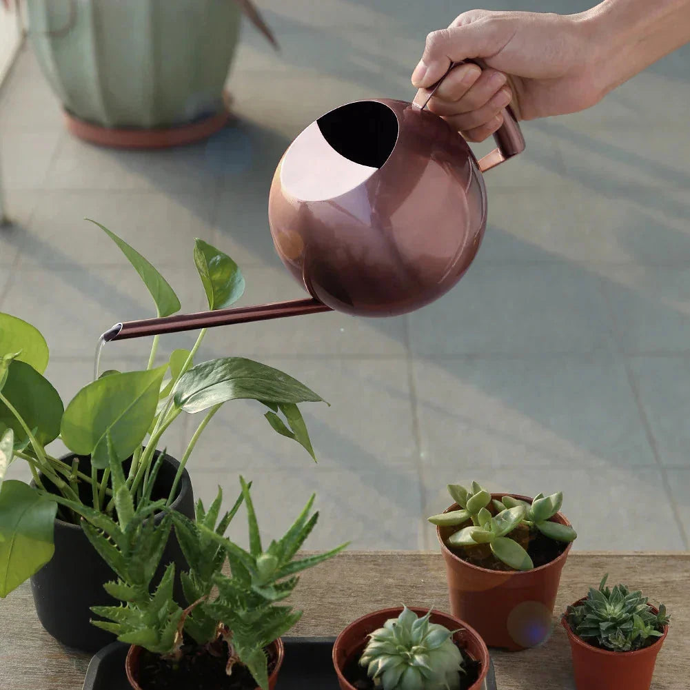 Watering Can | Minimalist Narrow-Spout & Ergonomic Handle