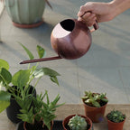 Watering Can | Minimalist Narrow-Spout & Ergonomic Handle