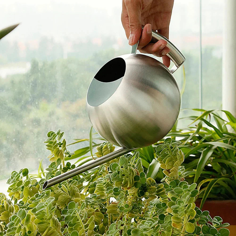 Watering Can | Minimalist Narrow-Spout & Ergonomic Handle