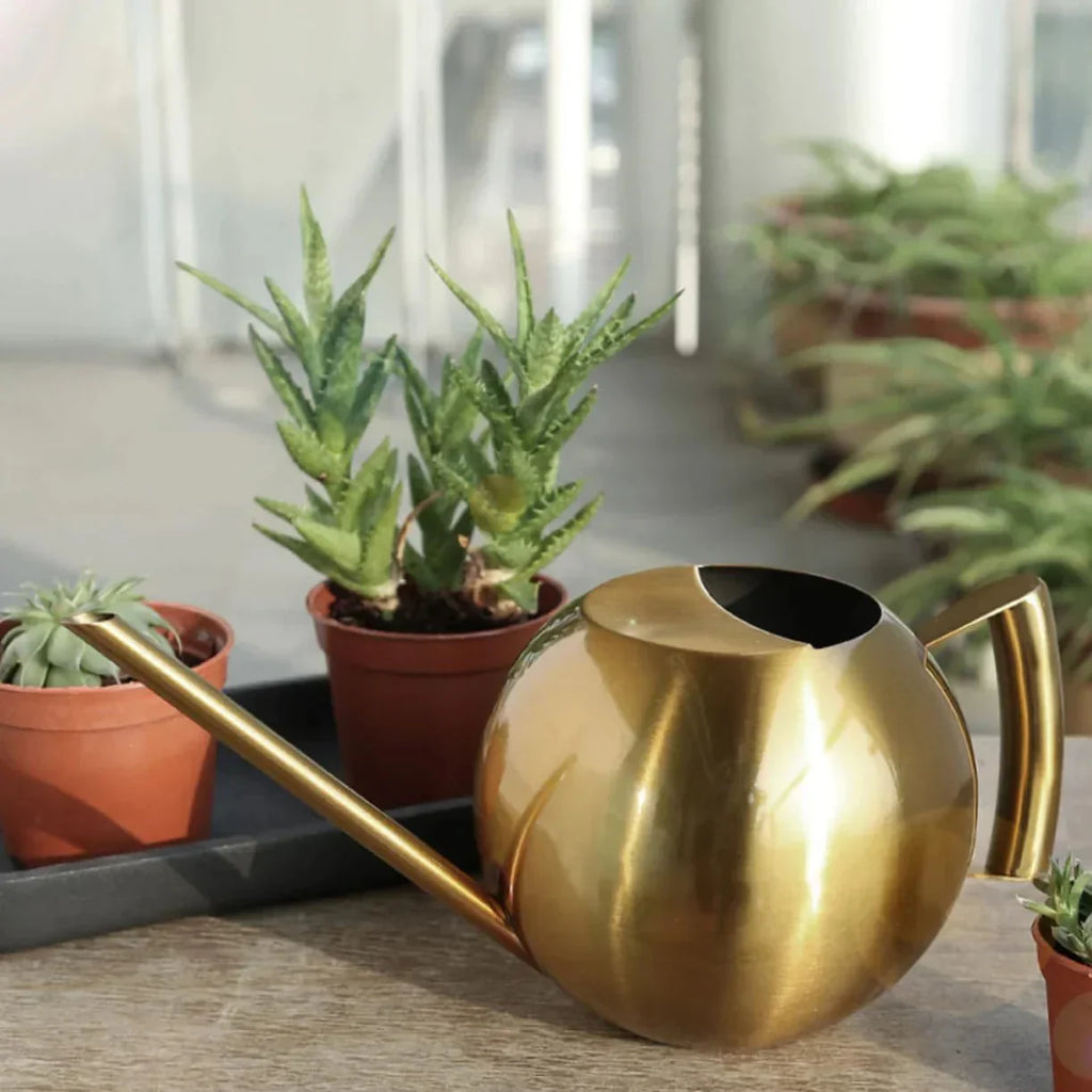 Watering Can | Minimalist Narrow-Spout & Ergonomic Handle