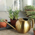 Watering Can | Minimalist Narrow-Spout & Ergonomic Handle