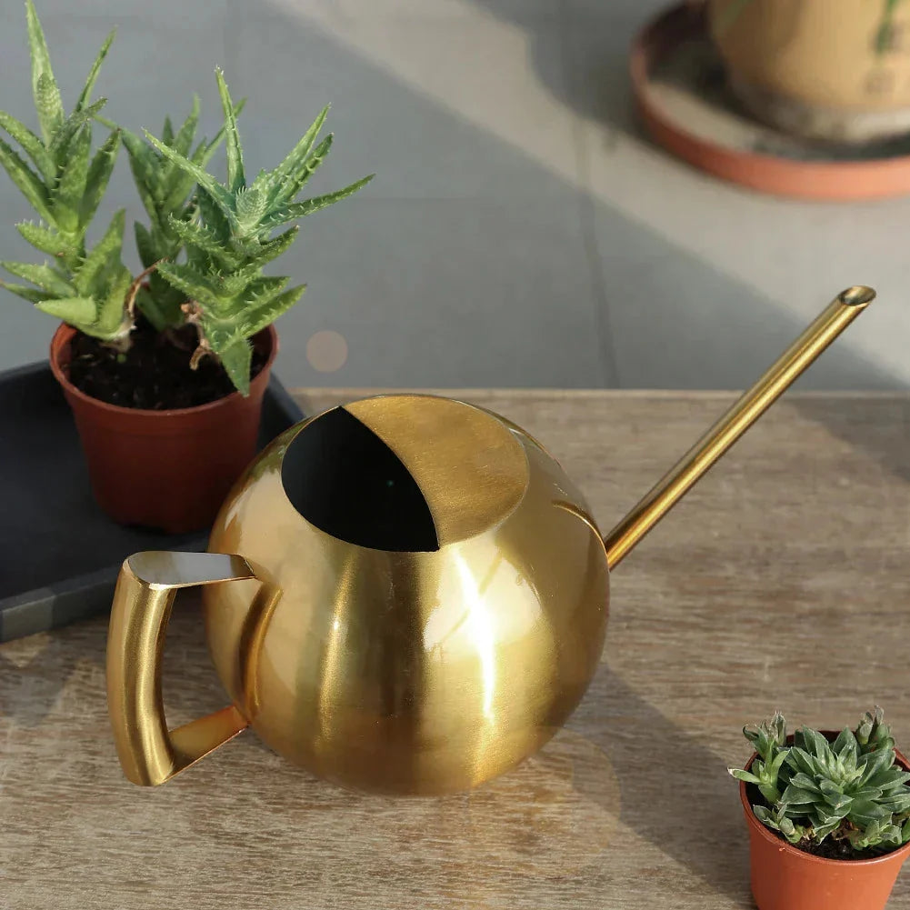 Watering Can | Minimalist Narrow-Spout & Ergonomic Handle