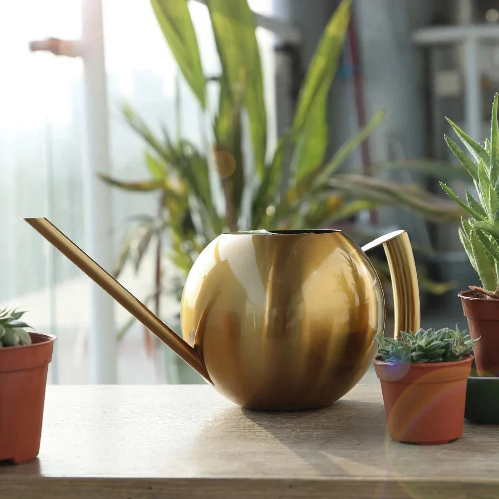 Watering Can | Minimalist Narrow-Spout & Ergonomic Handle