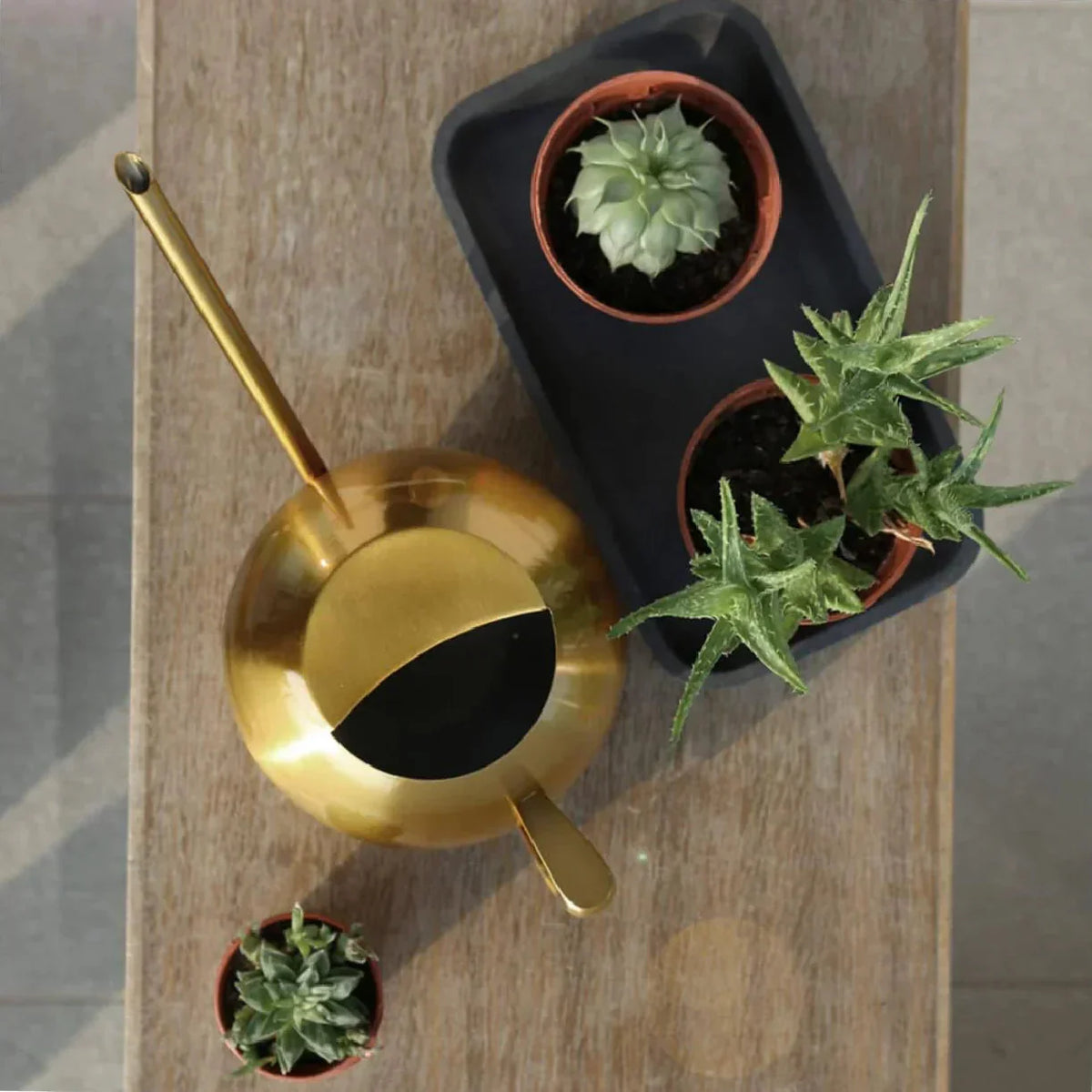 Watering Can | Minimalist Narrow-Spout & Ergonomic Handle
