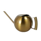 Watering Can | Minimalist Narrow-Spout & Ergonomic Handle