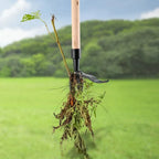 Weed Extractor with Detachable Handle
